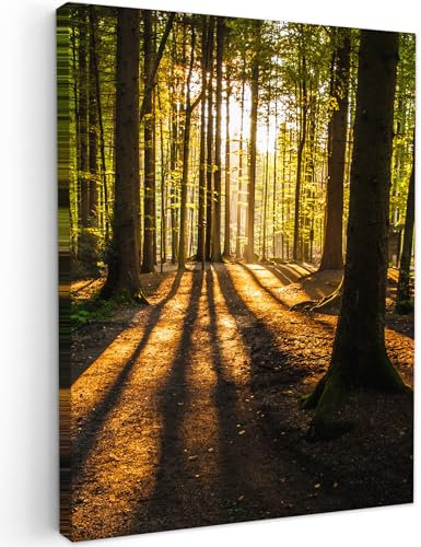 MuchoWow© Leinwand 60x80 cm Deko Schlafzimmer Aesthetic Leinwandbilder Wohnzimmer Gemälde Foto Geschenk Living Room Decoration Wandbilder Bild Wald - Sonne - Bäume - Landschaft - Natur