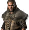 HiiFeuer Châle en Fourrure Artificielle Viking Collier en Fourrure Barbare, Cosplay Wrap Medieval Costume Cloak, Cape rétro pour Halloween (Marron A)
