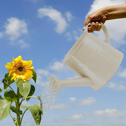 Regadera galvanizada para plantas de interior y exterior, mini macetas de 1 litro, regadera de metal para decoración del hogar y jardinería (A)