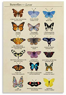 IEJDA Illustrierte Bücher Retro Schmetterling Exemplar Bildung Poster Vintage Leinwand Kunst Poster und Wandkunst Bild Druck Modern Familie Schlafzimmer Dekor Poster 30 x 45 cm