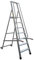 Scala Professionale Modello Ergal (Alluminio, 9 Gradini)