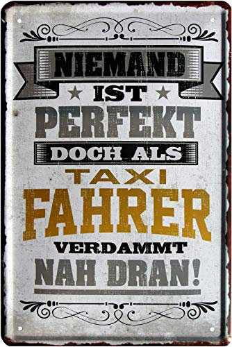 Niemand ist perfekt, doch als Taxifahrer 20x30 cm Blechschild 2149