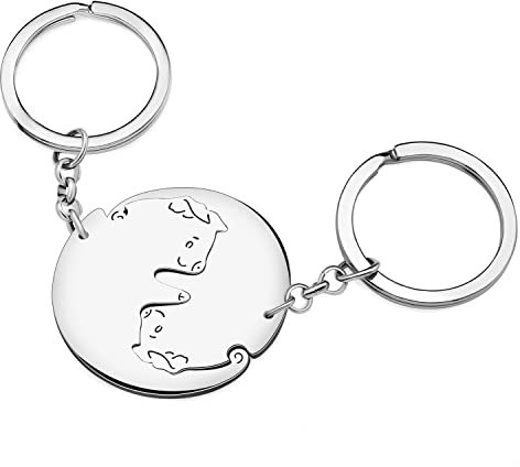 RAIDIN Valentinstag Geschenke für ihn ihr süße Nutztier Schwein 2pcs Paar Schlüsselanhänger Schweinchen Schlüsselring für Freund Freundin (Silber-194 Schwein)