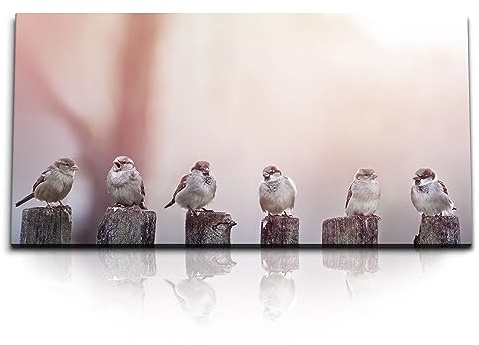 Paul Sinus Kunstdruck Bilder 120x60cm Spatzen auf Holzzaun kleine Vögel Tierfotografie
