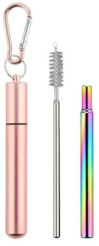 Pajita Portátil - Pajita De Acero Inoxidable Con Cepillos De Limpieza Estuche Con Mosquetón | Juego De Pajitas Telescópicas | Pajitas Reutilizables Con Estuche | Juego De Pajitas Plegables | Pajita Pl