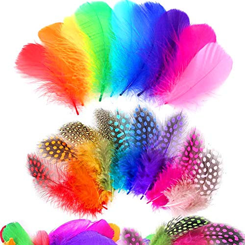 300PCS Bunte Federn, Gemischte Federn, Federn zum Basteln, Federn Deko, Natürliche Federn, für DIY Traumfänger, Federn für Hochzeit Party Dekoration