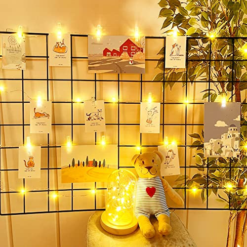 Dalugo Lichterkette Fotoclips, 2M 20 LED Lichterkette mit Klammern für Fotos, Batteriebetrieben Foto Lichterkette für Valentinstag, Hochzeiten, Geburtstagsparty, Hochzeitstag