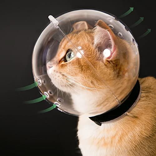 Muselière Transparente pour Chat et Chaton agressif, Capuche Respirante, Casque d’Astronaute réglable, empêche Les morsures, Taille L