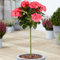 Hydrangea Macrophylla Tree Collection | Lollipop-Bäume für kleine Gärten