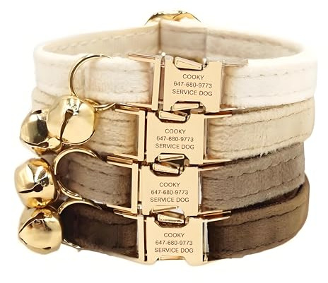Collar para Gatos Personalizado con Cierre de Seguridad y cascabeles, Gargantilla para Gatos con Placa de Nombre y número de teléfono, Ajustable, de Terciopelo, Disponible