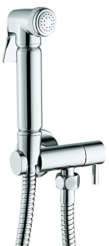 JAXI JAXIM Jaxikit Mini Bidet Set, Silver