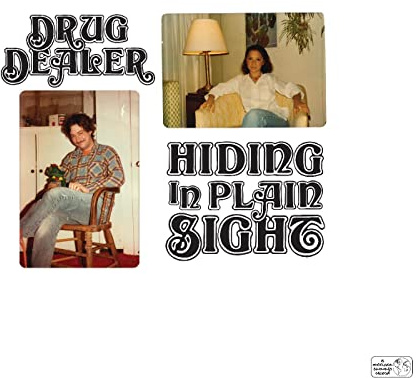 Hiding In Plain Sight