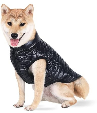 BT Bear Hunde-Wintermantel mit D-Ring, superleicht, für kleine und mittelgroße Hunde, warmer Mantel, Reißverschluss, wasserdicht, Schwarz, XL