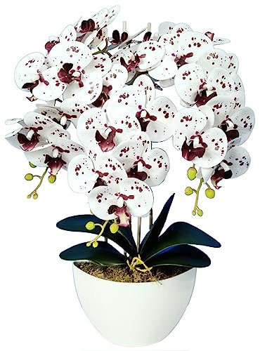 Damich Orchidea artificiale in Vaso decorazione orchidea artificiale 3 Rami fioriti altezza circa 60 cm (Multicolore)