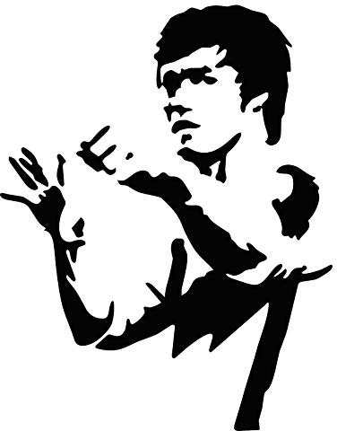 Rakelfix Bruce Lee Kampfsport Umriss Silhouette Aufkleber Größe/Farbe ANPASSBAR Sticker Autoaufkleber Decal