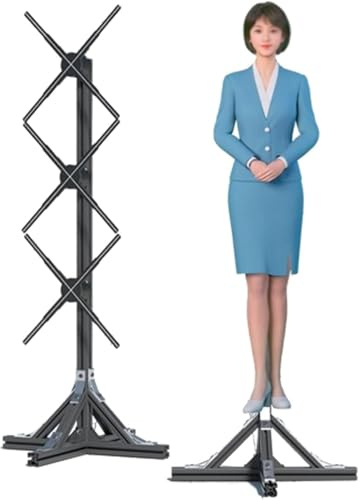 Projecteur Hologramme 3D - Machine Publicitaire Rotative pour Bar, Boutique, Halloween, Noël - Projecteur Vertical Hologramme Fan Projection