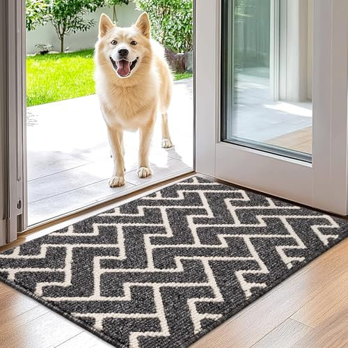 Biscpro Fußmatte Innen Black 50 x 80 cm, Wasserdicht Türmatte Schmutzfangmatte rutschfest Fussmatte Innen für Eingang, Flur, Garten, Innen, Haustier