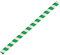 Fiesta Compostable Smoothie Paper Straw Green Stripe - 210mm 10mm (Pack 250)