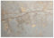 Feeby - 3d Tapete - 400x280cm - Fototapete Schlafzimmer - Blätter Äste Natur - Deko Wohnzimmer - Wallpaper - Wand Deko - Wandtapete - Wandbild XXL - Tapete - Wanddeko - Vliestapete - Wandbilder