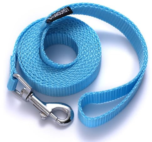 Siumouhoi 6 FT Traditional Style Dog Leashes, Strong Collar Hook, for Small, Medium and Large Dogs (Mint Blue, 5/8 in x 6 ft)