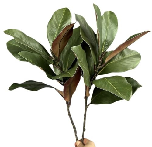 Faux Magnolia Zweige Blätter 56CM Künstlicher Magnolienzweig Picks Realistische Grvn Blätter Zweige Grüne Blatt Für Zuhause Tisch Vase (2PCS,56CM)