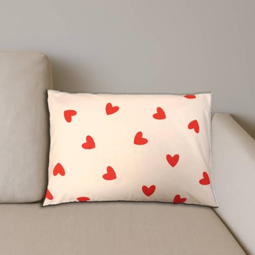 Natura - Kräuterkissen 50 x 34 cm mit 10 Kräutern für ruhigen Schlaf | 3D antiallergen Silikonfaser-Polyester-Füllung | 100% Baumwollbezug | Kleine Herzen | Geschenkidee