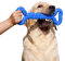 atopo Robustes Hundespielzeug 13 Inch Knochen geformt Kauspielzeug aus Hartgummi mit Konvexes Design stark interaktives Spielzeug für große kleine Hunde, Zähne reinigen und Zahnfleisch massieren