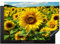 KitchenYeah© Protezione Piano Induzione 75x52 cm Cucina Copri Fornelli Proteggi di Cottura Antiscivolo Tappetino Girasole - Natura - Giallo - Fiori