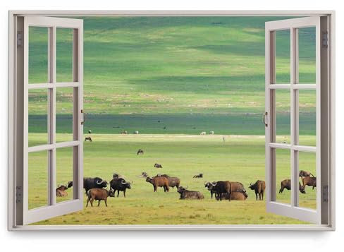 Paul Sinus Wandbild 120x80cm Fensterbild Weidewiese Grün Büffel Natur Wiese Landschaft
