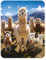 3D LiveLife Magnet - Llamarama from Deluxebase. Lenticular 3D Llama Fridge Magnet. Magnetic decor for kids and adults with artwork licensed from renowned artist, David Penfound