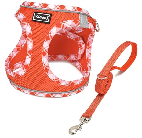 DORAMIO Harnais Chien, Step-in Harnais pour Chiens avec Laisse, Réfléchissant Respirant Mesh Doux Confort Réglable Gilet Harnais pour Petite Chiens Chats pour Marcher Courir (Orange Rouge, XL)
