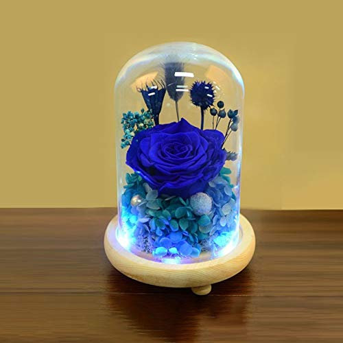 Warmiehomy Glass Cloche Bell Jar Dome with Wood Base + Lights (With colorful light, 9x15cm)