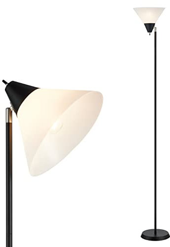 HonoDing Lámpara de pie Lámpara de pie con pantalla acrílica y cabeza ajustable para salón/oficina/dormitorio (Negro)