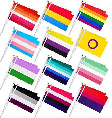 Weewooday Lot de 36 mini drapeaux de fierté, 12 styles LGBT arc-en-ciel | Transgenre, bisexuel, pansexuel, asexuel, lesbien, sexe fluide, idéal pour les défilés, les fêtes, les célébrations