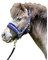 HKM 12405 Heart Halfter & Stricke 6500 blau Pony