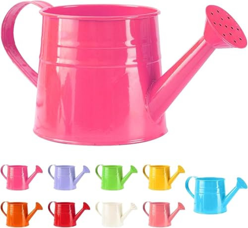 Arrosoir pour petites plantes d'intérieur 1 l - Petit arrosoir en métal - Pour jardin, balcon, jardin - Arrosoir vintage - Outil de jardin - 1 pièce - Rose vif
