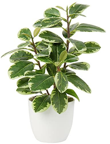 Plante Artificielle en Pot Mini Plantes Artificielles Intérieure Fausse Plantes en Pot pour Décoration de Salon, Cuisine, Chambre, Bureau, Étagère à Livres, Salle de Bain