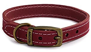 Ancol Timberwolf Premium Leather Dog Collar - Comfortable Durable Pet Training Accessory - Raspberry Bridle Leather - Soft Supple Waterproof Treated - 20-26cm Size 1