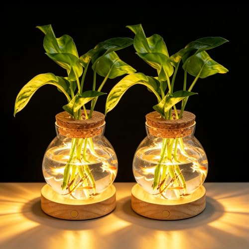 Everkeen Plant Propagation Station with Wooden Saucer, Glass Terrarium with Stepless Dimming Function Hydroponic Glass Container Vase Jars Gardening Gifts for Mom Women Plant Lovers(2 Pack)
