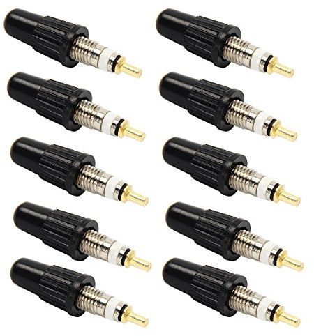 holdlebe Universal Abnehmbare Tubeless Presta Ventil Kerne Silber,10pcs/with caps