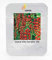 Vistaric Sehr sehr seltene Dolce Vita Tomatensamen, Professionelle Packung, 100 Samen/Pack, leckere schöne Tomate E3155