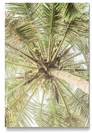 artboxONE Galerie-Print 120x80 cm Coco A hochwertiges Acrylglas auf Alu-Dibond Bild - Wandbild von Shot by Clint