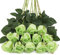 Tifuly Rosen Künstliche Blumen 12 Pcs Seide Künstliche Rose Blumen Gefälschte Blumen für Brautstrauss Haus Hochzeits Party Deko DIY(Grün)