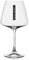 Scavi & Ray 0,2l Schaumwein Glas 6er Set