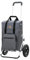 Andersen Einkaufstrolley - klappbar - 45 Liter - mit Kühlfach - Aufhängung für Einkaufswagen - belastbar 50 kg - Aluminium - Trolley - Luft-Rad Ø 25 cm - Royal Shopper Wismar silbergr.
