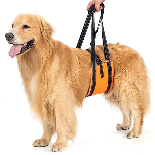 Avont Hunde Tragehilfe - Hundeschlaufe für große Hunde Hinterbeinstütze, Hebehilfe mit Griff und Gurt für Hüftdysplasie, Canines Lifter Support Harness for Elderly Dogs - Orange M