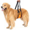 Avont Hunde Tragehilfe - Hundeschlaufe für große Hunde Hinterbeinstütze, Hebehilfe mit Griff und Gurt für Hüftdysplasie, Canines Lifter Support Harness for Elderly Dogs - Orange M