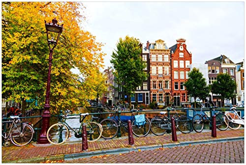 Wallario Glasbild Herbst in Amsterdam - 60 x 90 cm Wandbilder Glas in Premium-Qualität: Brillante Farben, freischwebende Optik