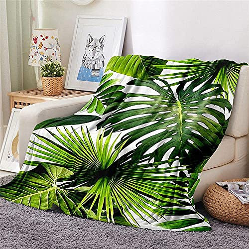 BLZQA Kuscheldecke Flanell Fleecedecke Frische grüne Blätter Wohndecke Sofadecke Couchdecke Bettüberwurf Flauschige Weiche& Warme Sofaüberwurf Decke-150 x 200 cm