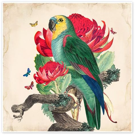 Exotische Papageien X Poster von Mandy Reinmuth 30 x 30 cm Collage Wanddeko